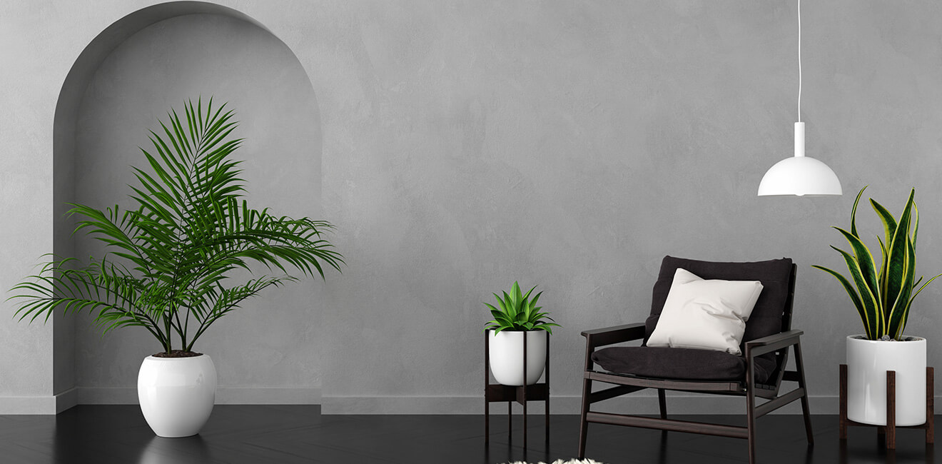 Terms and Conditions